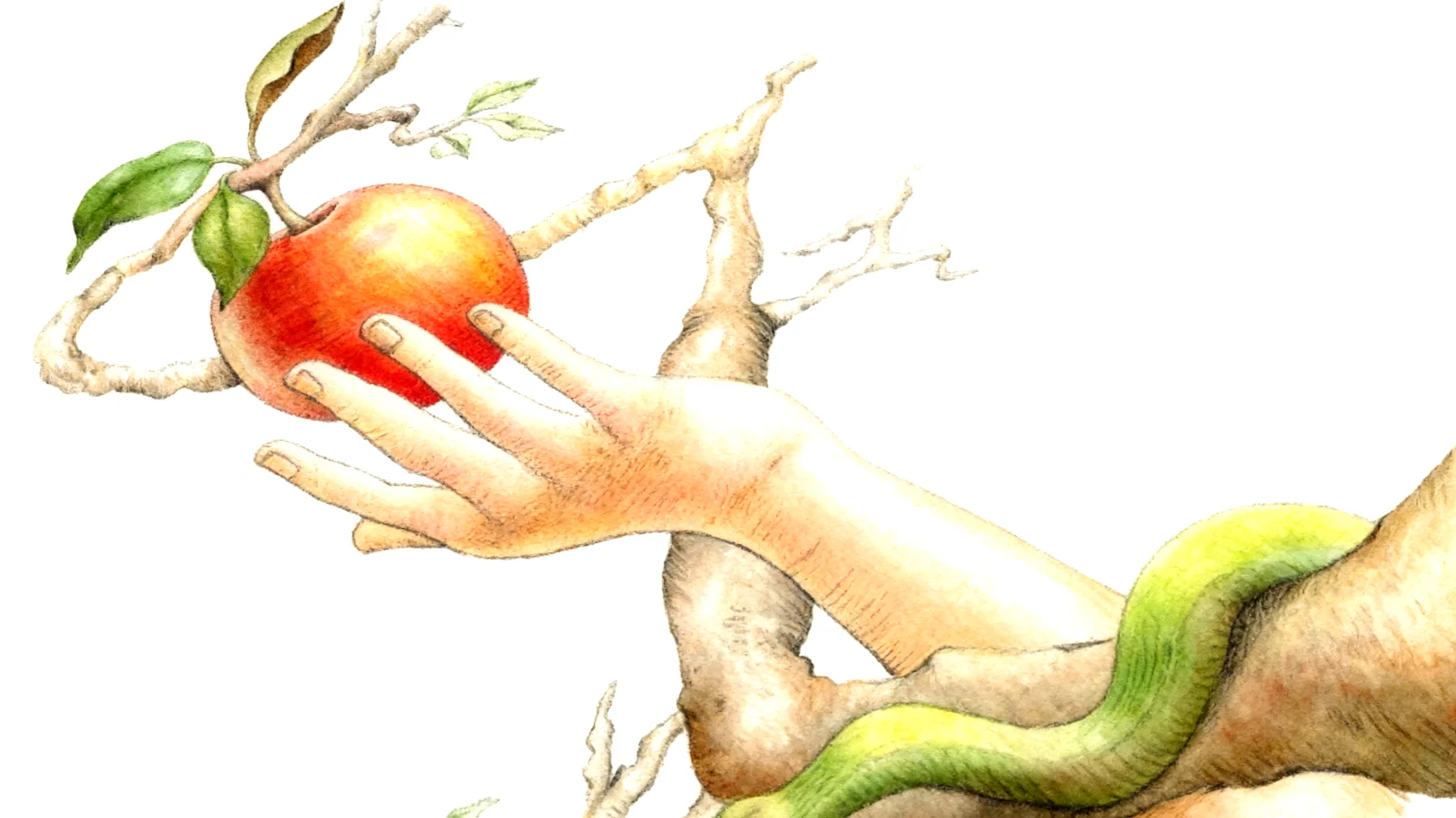 Forbidden Fruit2026-03-01T14:39:34.161Z"